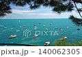 dozens of small boats anchored in clear blue bay water. 140062305