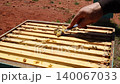 Bees are busy on honeycomb frames as beekeepers inspects hive in backyard setting 140067033