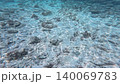 Underwater photography: Macro footage of an ecosystem moving around near coral (sponge) on the seabed. 140069783