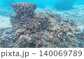 Underwater photography: Macro footage of an ecosystem moving around near coral (sponge) on the seabed. 140069789