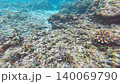 Underwater photography: Macro footage of an ecosystem moving around near coral (sponge) on the seabed. 140069790