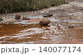 water running Through mossy rock 140077174