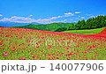 4K video: Poppies in full bloom in the sky. A field of bright red flowers and lush green mountains under a refreshing blue sky. Fixed, unmanned location. 4K video: Poppies in full bloom in the sky. A field of bright red flowers and lush green mountains under a refreshing blue sky. Fixed, unmanned location. 140077906