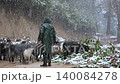 Shepherd leads sheep and goats through snowfall, creating a quiet pastoral winter scene. Rural herd moves along a snowy path with livestock, cold ground, and traditional countryside life. 140084278