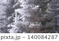 Frozen conifer forest stands beneath fog, where frost covers branches in white winter crystals. Misty pines and rime coated woods create a silent cold scene with dense seasonal texture. 140084287