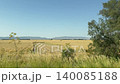 Driving plate distance view of beautiful Besparmak or Girne mountains also known as Kyrenia mountain range in Cyprus. Wide dry yellow summer field landscape. 140085188