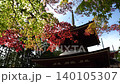 Autumn leaves of Mt. Koya 140105307