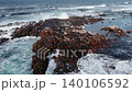 Aerial view of waves crashing around a rugged rocky reef in the ocean . Media 140106592