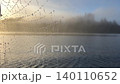 Spiderweb with glistening dew drops at foggy morning lake 140110652