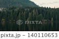 Foggy forest landscape with coniferous trees in mist 140110653