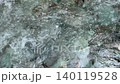 一段令人心曠神怡的自然視頻，展現了一條清澈見底的小溪。 140119528