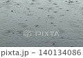 一段雨水落下時水面泛起漣漪的視頻，展現了雨天寧靜的自然景象。 140134086
