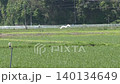鳥四郎 140134649