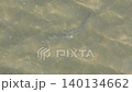 魚 140134662