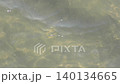 魚 140134665