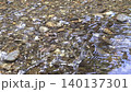 The surface of the flowing river in Mitake Valley The surface of the flowing river in Mitake Valley 140137301