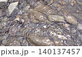 The surface of the flowing river in Mitake Valley The surface of the flowing river in Mitake Valley 140137457