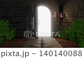 ファンタジー風の木製ドアが開く 白い光 2パターンセット 140140088