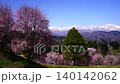 Cherry blossoms falling in Ogawa Village; cherry blossoms at the guardhouse; view of the Ushirotateyama mountain range from near the parking lot. 140142062