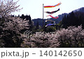 Carp streamers swimming amidst a flurry of cherry blossoms at Yakimochi-ya in Nakajo, Nagano City 140142650