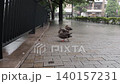 鴨子休息著翅膀 140157231