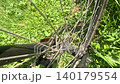 A Close-Up Look at the Disc Brake and Wheel Mechanics of a Mountain Bicycle on a Verdant Trail 140179554