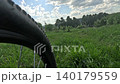 A Close Perspective of a Bicycle Tire Framed by Lush Green Grass 140179559