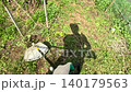 Gardening in Action: A Close-Up of a Hand Using a Trimmer to Manage Overgrown Grass and Weeds in a Lush Green Landscape 140179563