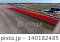 A wide, high-angle aerial drone view capturing a vast patchwork of colorful flower fields with parallel rows of red, orange, and purple tulips divided by a straight water canal. 140182485