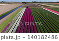 A high-angle aerial drone view focusing on an agricultural field sprayer with fully extended wide booms driving down the parallel rows of a vibrant purple tulip field, part of a massive patchwork. 140182486