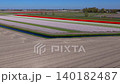 A high-angle aerial drone view looking over large, open fields featuring a water canal bent at an angle, framing long parallel rows of blooming red, white, and pale pink tulip fields in Netherlands. 140182487