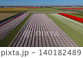 Aerial drone view along straight, parallel rows of a large patchwork field featuring pink, white, and red tulips leading toward a distant village horizon in the Netherlands. 140182489