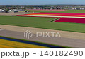 An aerial drone shot of beautiful patchwork fields with vibrant stripes of red, orange, white, and yellow tulips near a rural village with a historic church in the Netherlands countryside. 140182490