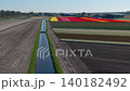 Aerial drone shot over a geometric patchwork of agricultural fields with rows of white, red, and pale pink tulips separated by water canals and dirt tracks in the Netherlands countryside. 140182492