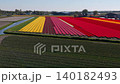 Aerial drone view over a stunning patchwork field showcasing long, parallel bands of vibrant yellow, pink, and red tulips beside a water canal and farm buildings in the Netherlands. 140182493