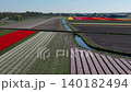 Aerial drone shot following a long, straight water canal cutting through a massive patchwork of agricultural fields with colorful bands of yellow, pink, and red tulips in the Netherlands. 140182494