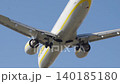 Airplane landing at the airport with a close approach to the runway during a clear day 140185180