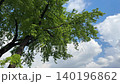 Green tree and sky beautiful clouds. 140196862