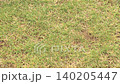 Lush lawn 140205447