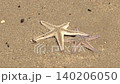 The starfish being launched 140206050