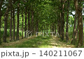 An unpaved tree-lined street that reminds me of summer vacation 140211067