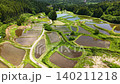 A series of small rice paddies in terraced fields after the rice planting has finished. 140211218
