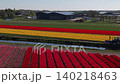 Aerial drone shot of a tractor driving along a water canal between vibrant patchwork fields of red, yellow, and pink tulip rows near farm buildings in the Netherlands countryside. 140218463