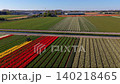 Aerial drone shot of agricultural machinery working on rows of yellow and red tulips within vast patchwork fields separated by a water canal in the Netherlands countryside. 140218465