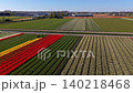 Aerial drone view of farm machinery driving along colorful rows of yellow and red tulips inside large agricultural fields divided by a water canal in the Netherlands. 140218468