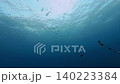西表島のオガンで強い潮流の中、海面下で群れをなすイソマグロのスローモーション動画 140223384