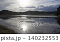 這是靜岡縣稻田在插秧後，夕陽映照下的景象。 140232553