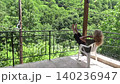A barefoot girl relaxes in the fresh air in spring. The blonde stretches her legs out on the balcony railing and looks out at the beautiful nature around her. The sun is shining brightly, and the wind 140236947