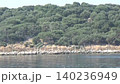 Uninhabited island in the sea covered with beautiful green vegetation and washed by sea water. Seabirds fly tirelessly over the water and trees of the island. View from a passing ship 140236949