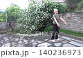 A middle-aged woman raises her arms and simultaneously moves her leg back. The woman is doing morning exercises in the fresh air. A beautiful jasmine bush perfectly complements the picture of nature a 140236973
